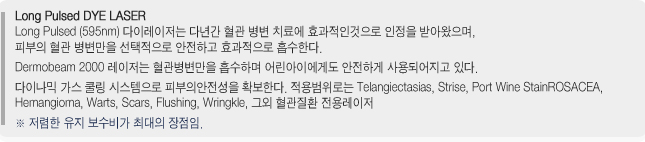 다이레이져